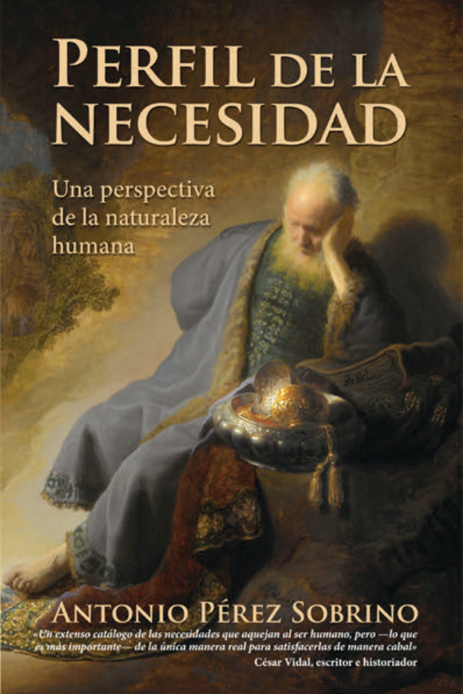 EL PERFIL DE LA NECESIDAD